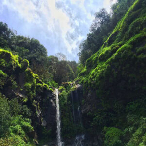 Hidden Waterfall at Gunehar Valley Bir Billing